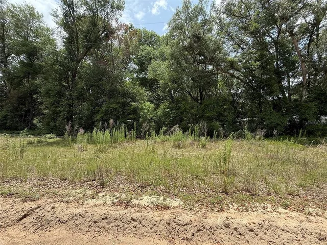 $8,799 | 119 Smokey Avenue, Interlachen, FL 32148