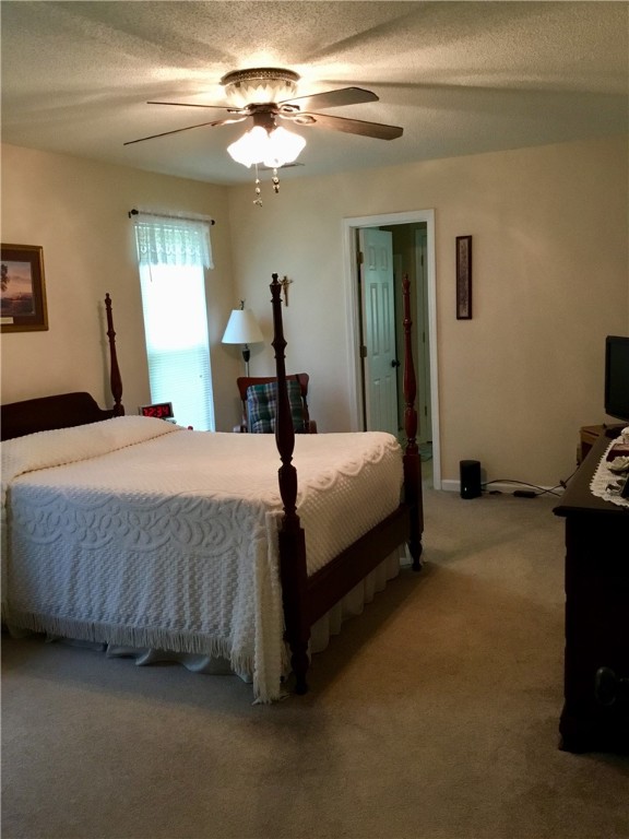 2809 Shady Grove Road Honea Path, SC 29654 - Photo 13 of 47