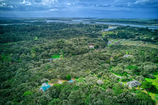 a view of a field of grass and trees