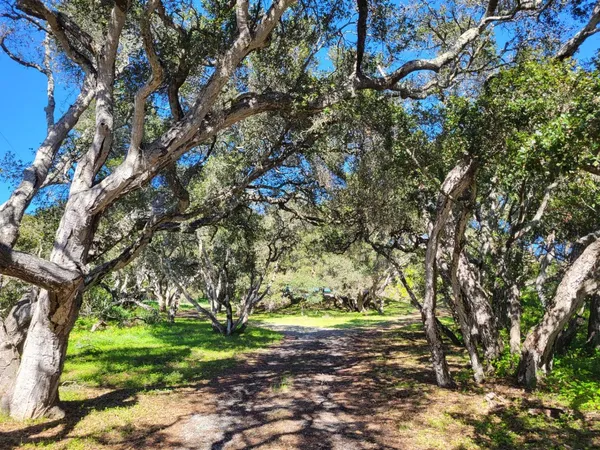 $1,450,000 | 14641 Tumbleweed Lane, Watsonville, CA 95076