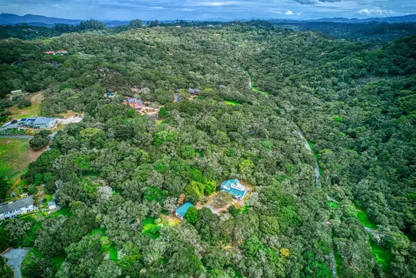 a view of a lush green forest with lots of trees