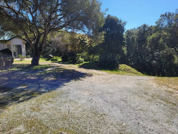 a view of a yard with a tree