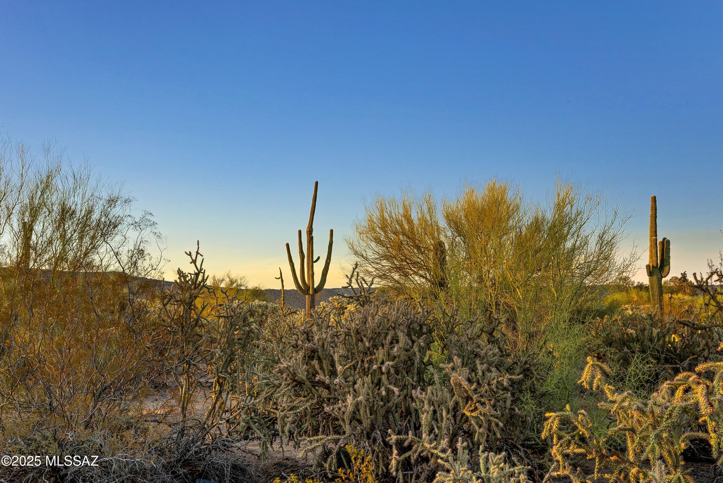 0 West Massingale Road Tucson, AZ 85743 - Photo 11 of 19