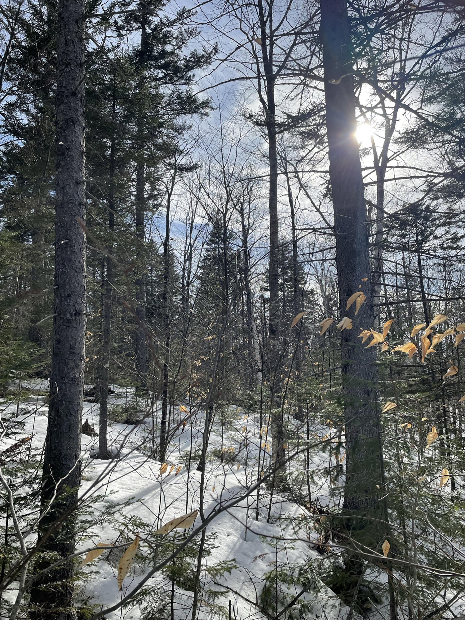 2030 Hillside Road Carrabassett Valley, ME 04947 - Photo 11 of 12 IMG_5584