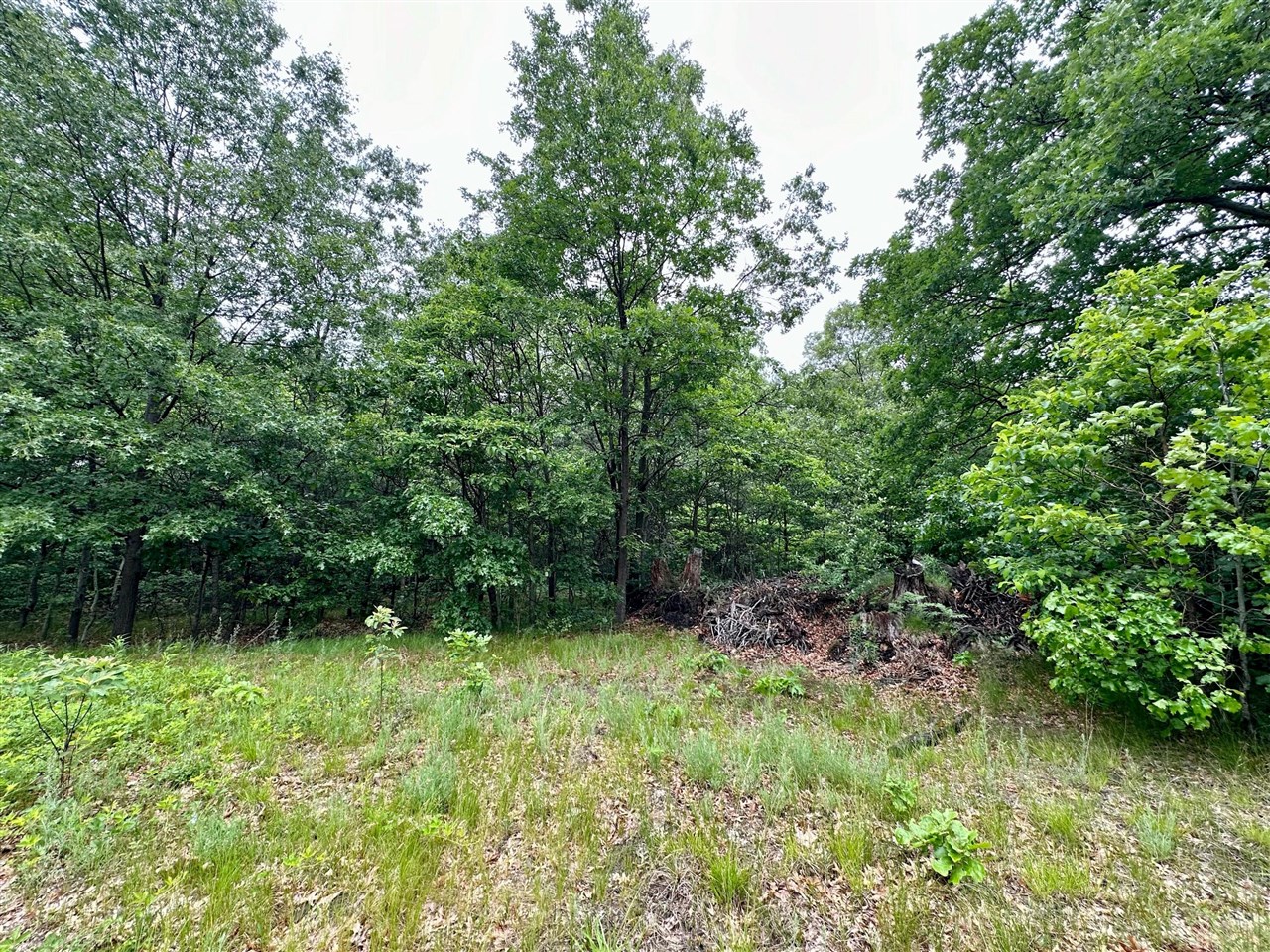 0 South Hilton Park Road Fruitport, MI 49415 - Photo 3 of 4