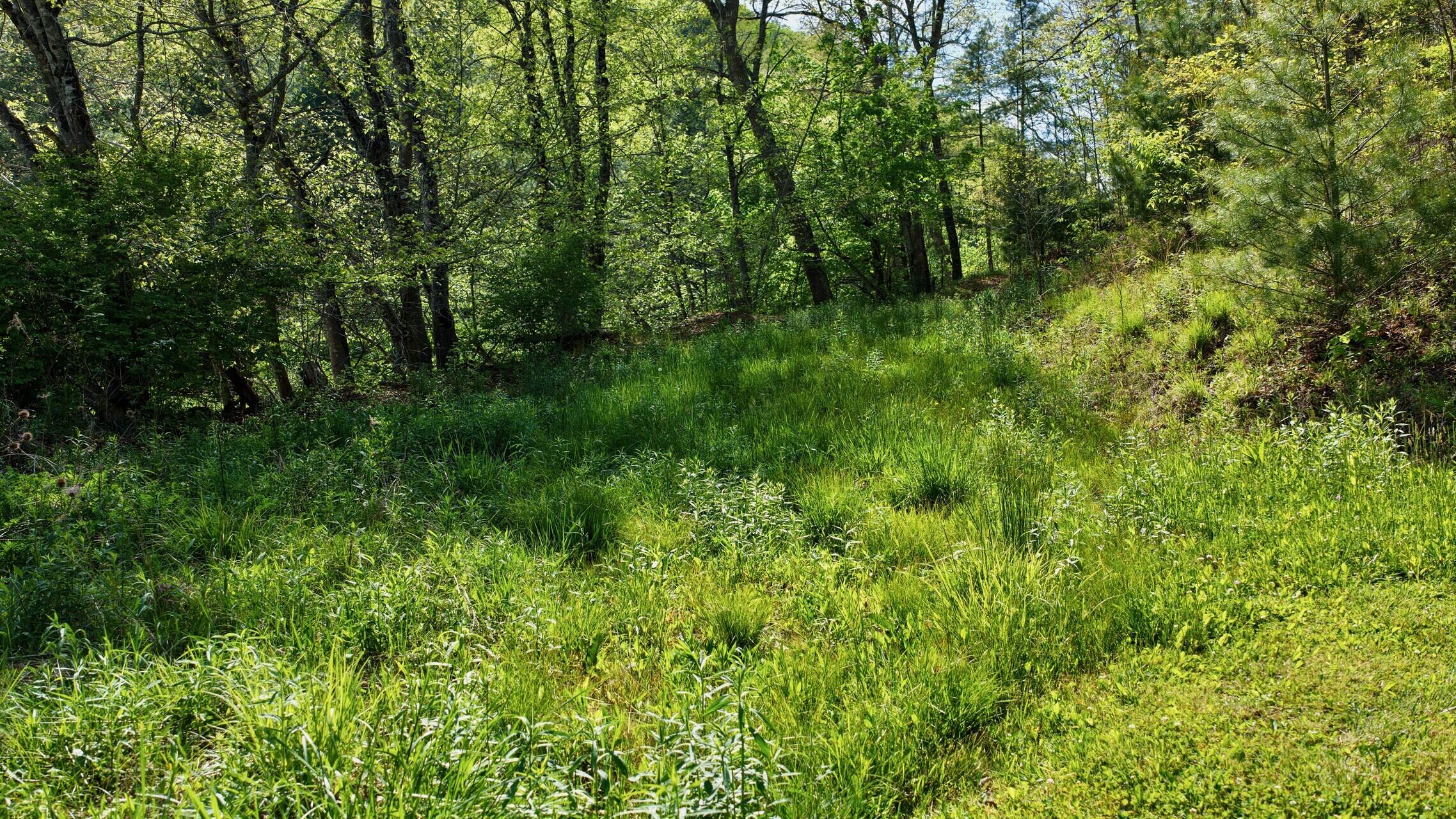 8991 Jones Mountain Road Union, WV 24983 - Photo 8 of 20 8891 Jones Mountain Rd (4)