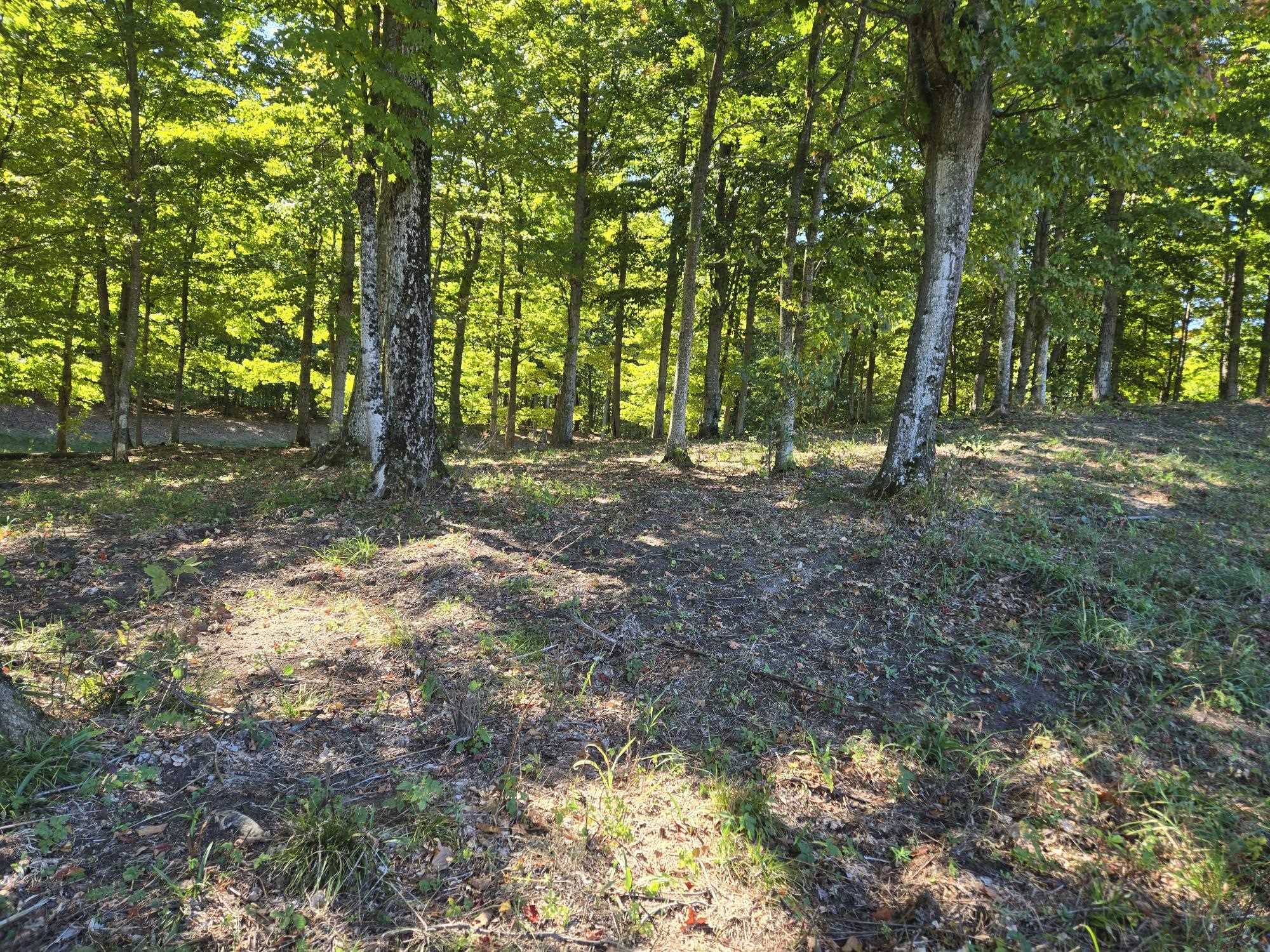 23 Heather Ridge Trail Beulah, MI 49617 - Photo 4 of 10