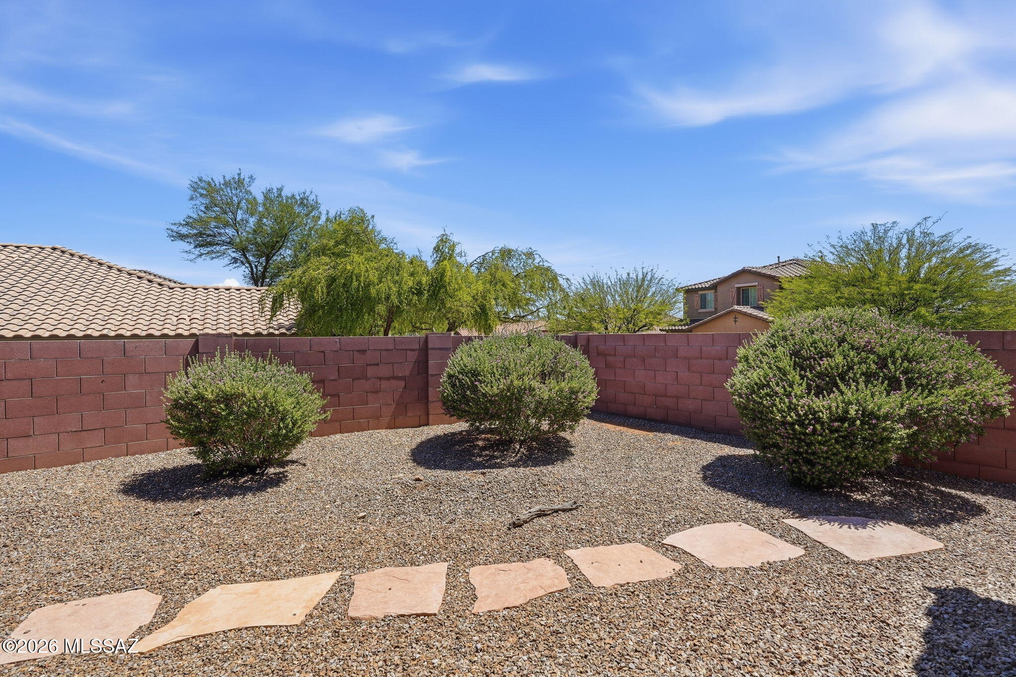 39054 South Running Roses Lane Tucson, AZ 85739 - Photo 41 of 44