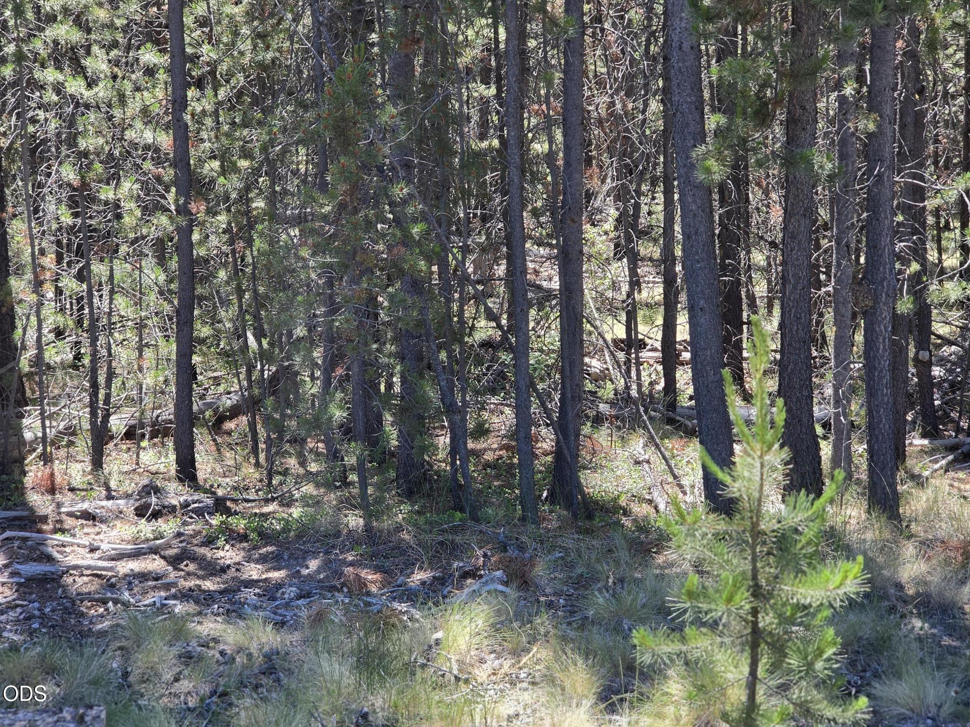 17103 Laguna Road Bend, OR 97707 - Photo 6 of 8
