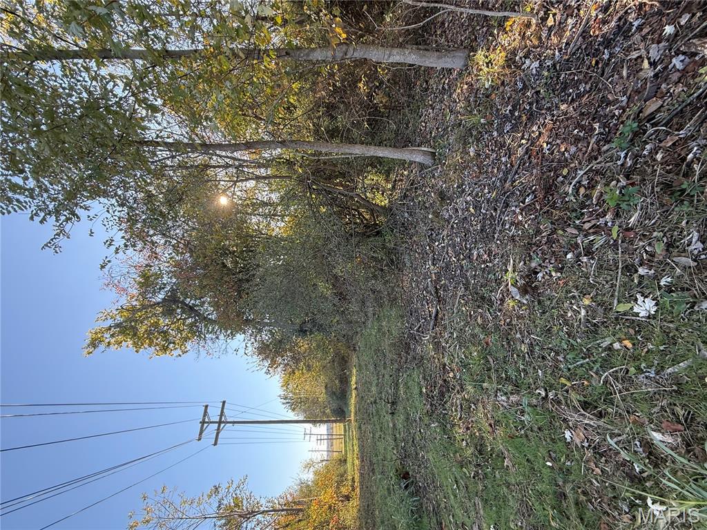 0 Perrine Road Farmington, MO 63640 - Photo 2 of 7