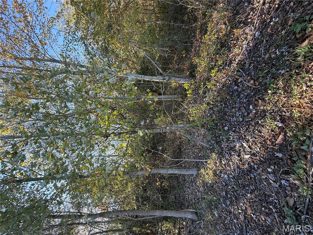 0 Perrine Road Farmington, MO 63640 - Photo 3 of 7