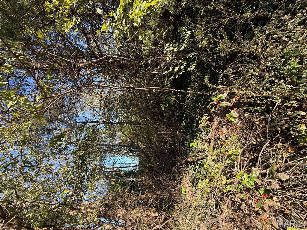 0 Perrine Road Farmington, MO 63640 - Photo 5 of 7