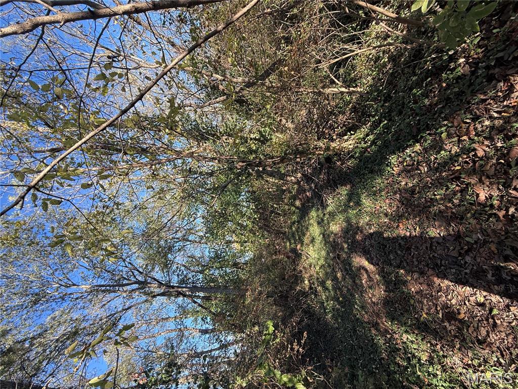 0 Perrine Road Farmington, MO 63640 - Photo 7 of 7