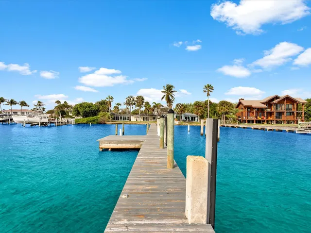 a view of a lake with boats and trees in the background