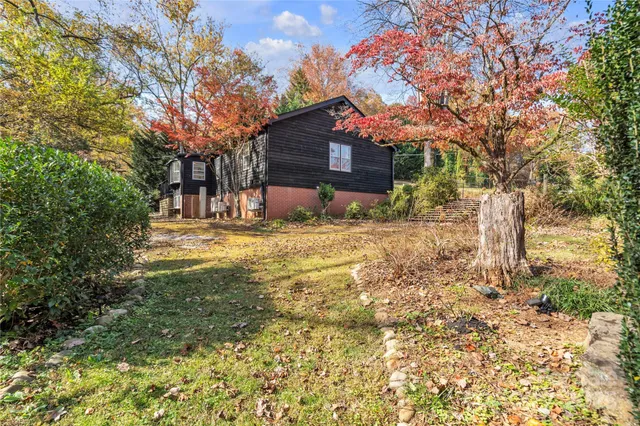 a view of a yard with plants and large trees