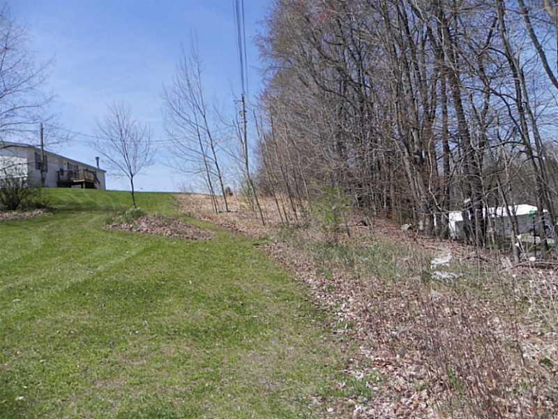 110 High Street Volant, PA 16156 - Photo 19 of 22 Exterior Front. Tree lined front property