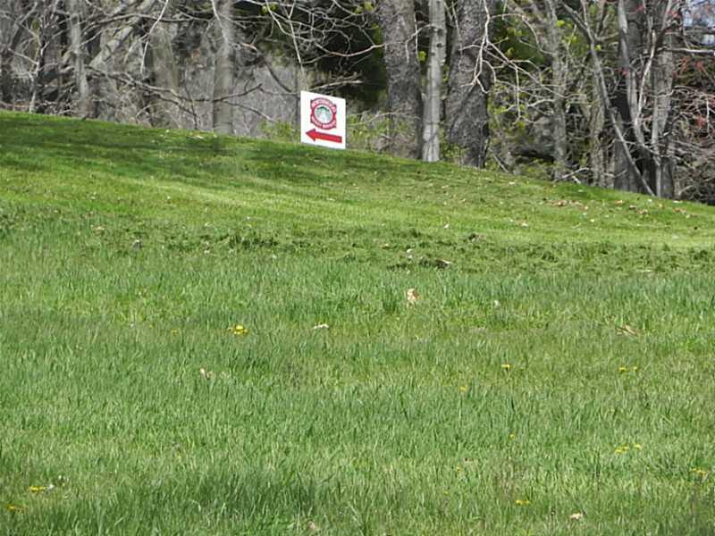 110 High Street Volant, PA 16156 - Photo 22 of 22 Land/Lot.