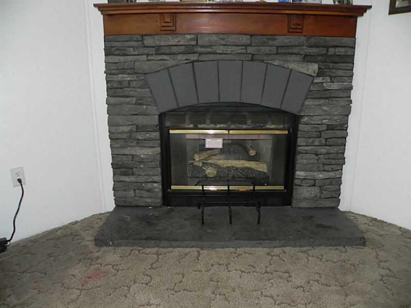 110 High Street Volant, PA 16156 - Photo 8 of 22 Other. Fireplace
