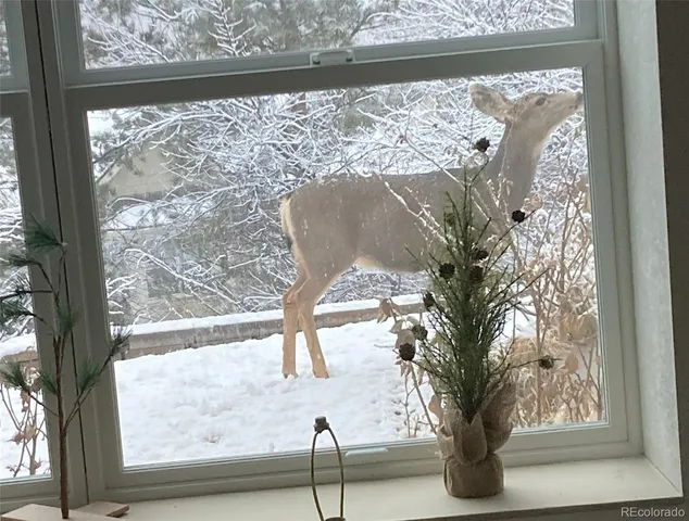 $6,000 | 6645 South Crocker Way, Littleton, CO 80120