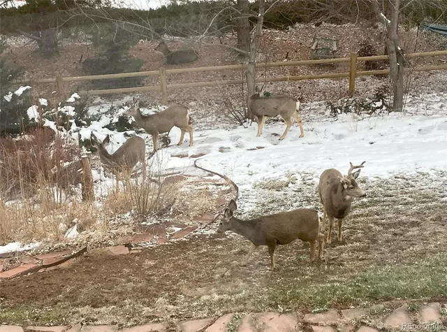 $6,000 | 6645 South Crocker Way, Littleton, CO 80120