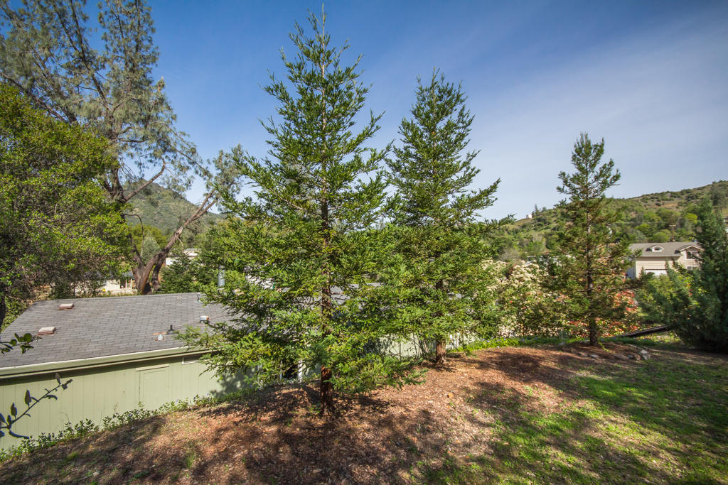 14791 Ravine Road Redding, CA 96003 - Photo 10 of 13 back1