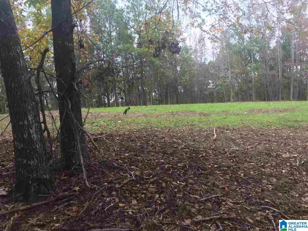 Fire Station Road, Unit 30 Ashland, AL 36251 - Photo 15 of 15