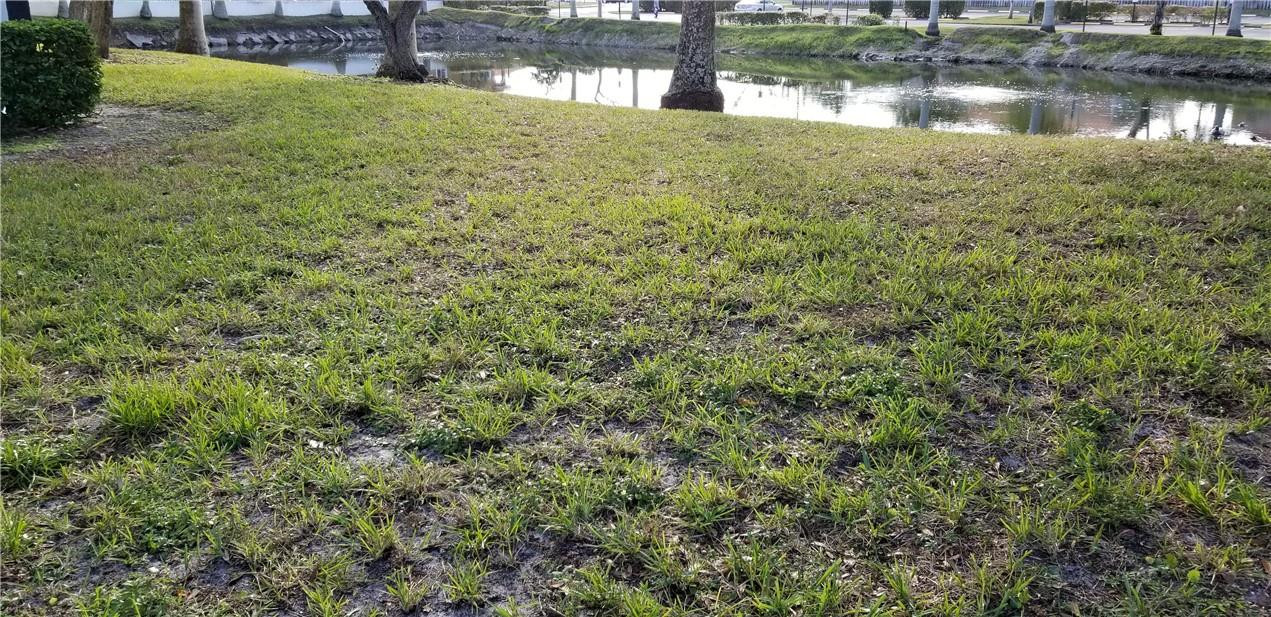 6193 Rock Island Road, Unit 113 Tamarac, FL 33319 - Photo 28 of 35 Photo 28