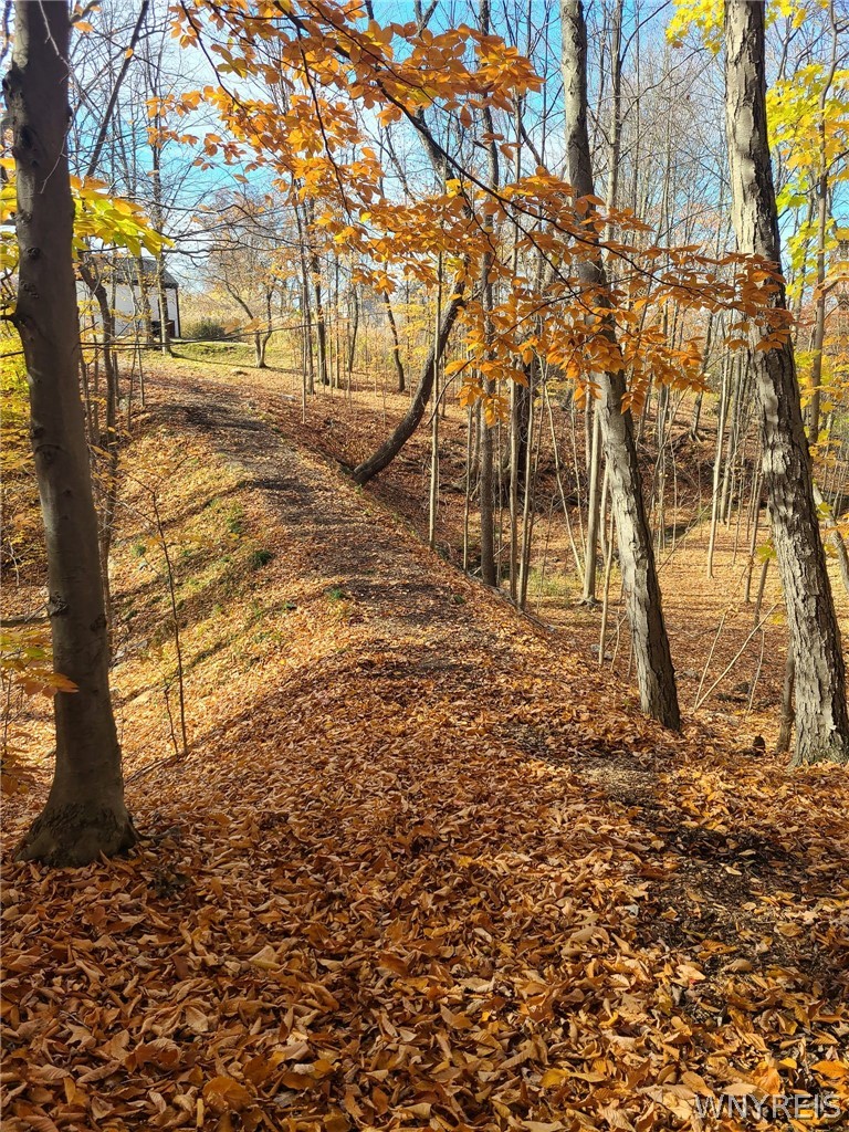 3816 Hardt Road Eden, NY 14057 - Photo 45 of 50 Woods