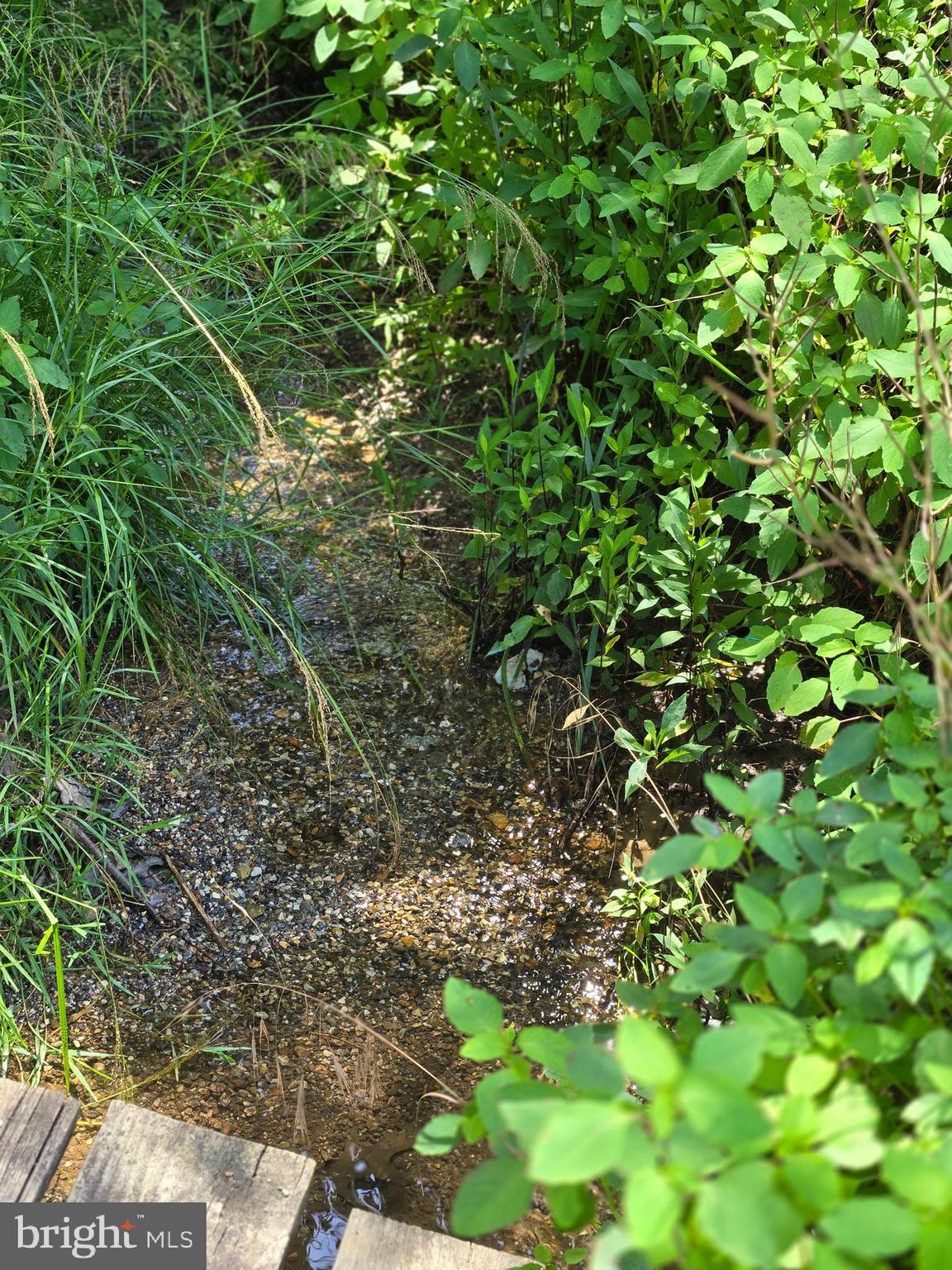 1685 Burkholder Road Red Lion, PA 17356 - Photo 2 of 2 Small stream
