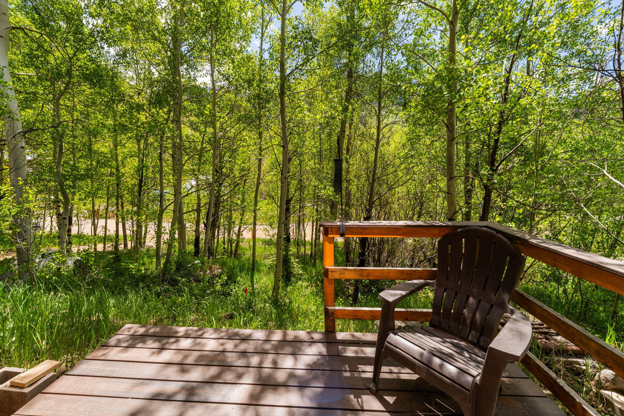 313 North Piedmont Street Rico, CO 81332 - Photo 5 of 43 a view of outdoor space with seating