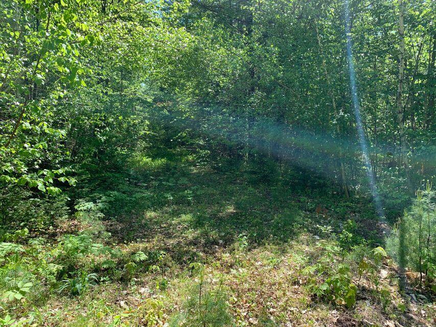 Lot 7 Grandview Road Bethel, ME 04217 - Photo 10 of 17 image 8 GV
