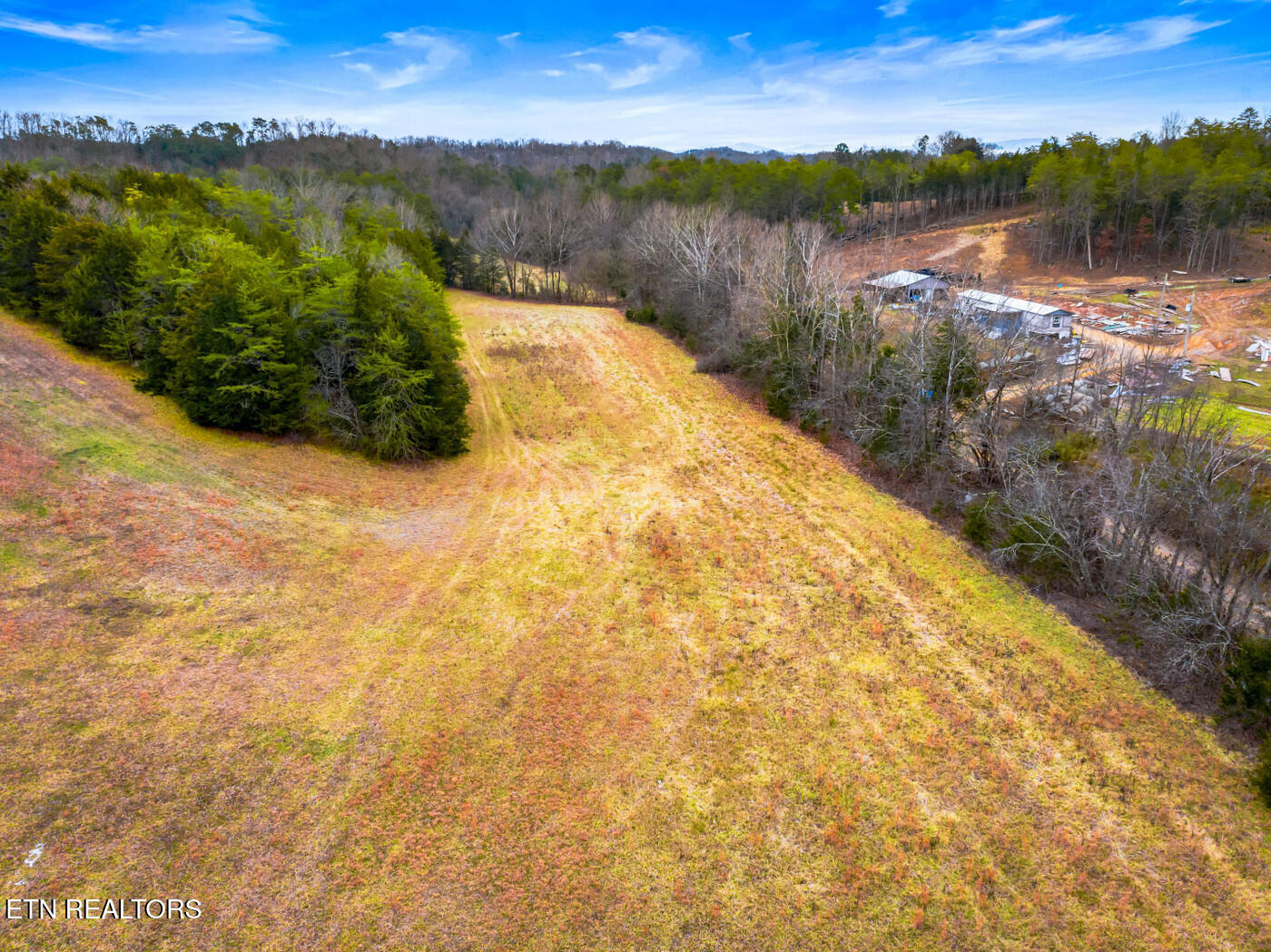Lot 1 Lonesome Point Road Bybee, TN 37713 - Photo 8 of 9 track 1 3