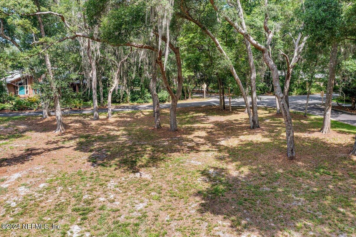 701 Camelia Trail St. Augustine, FL 32086 - Photo 7 of 16 04-Home Site View