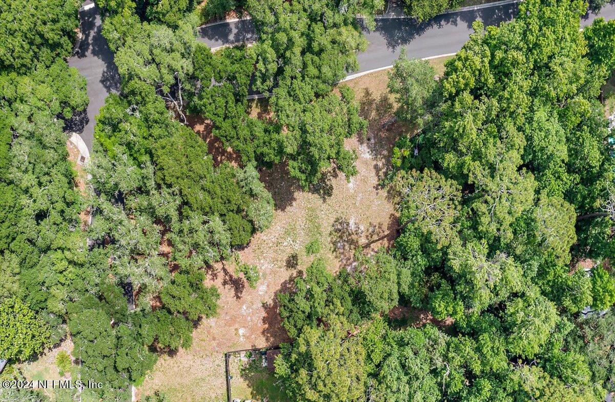 701 Camelia Trail St. Augustine, FL 32086 - Photo 8 of 16 05-Overhead