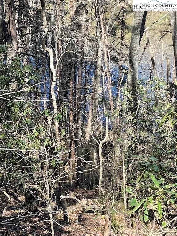 Spruce Lane Crumpler, NC 28617 - Photo 6 of 10 Gallery Image 6
