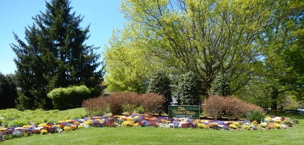 a view of an outdoor space