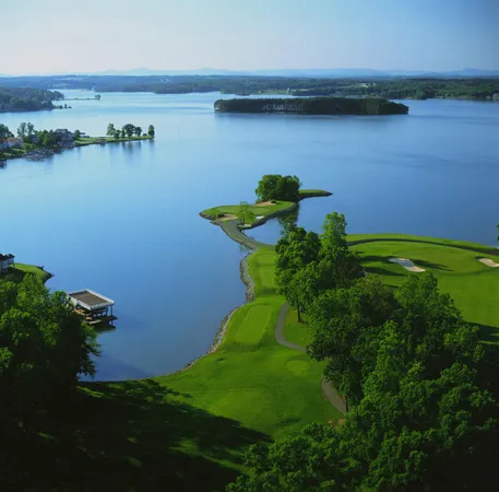 a view of a small yard