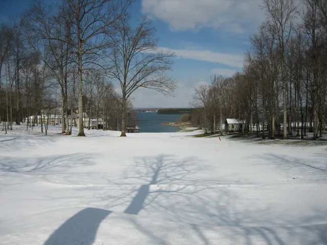 a view of a backyard with a trampoline