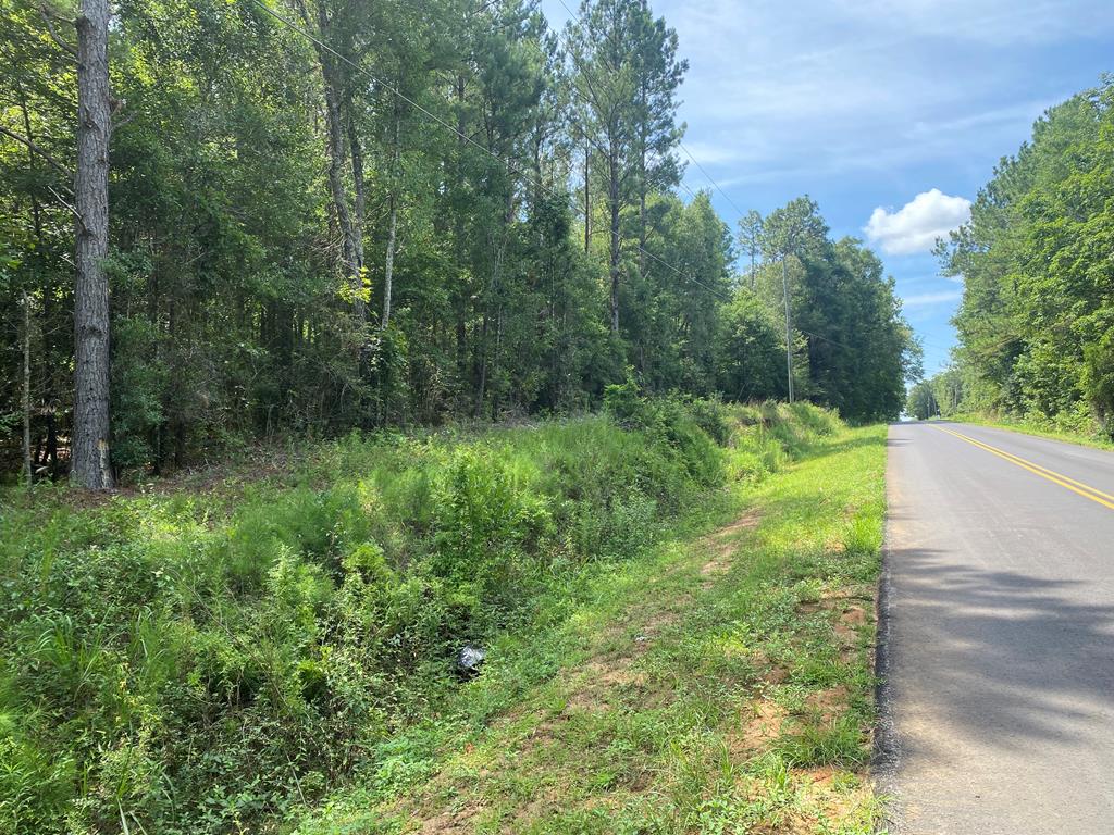 0 Drew Road Dothan, AL 36303 - Photo 1 of 8