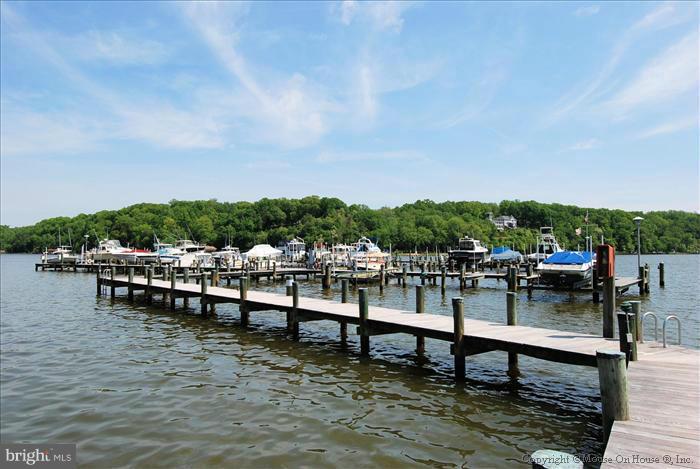 3483 Olympia Road Davidsonville, MD 21035 - Photo 10 of 13 Community 49 slip marina