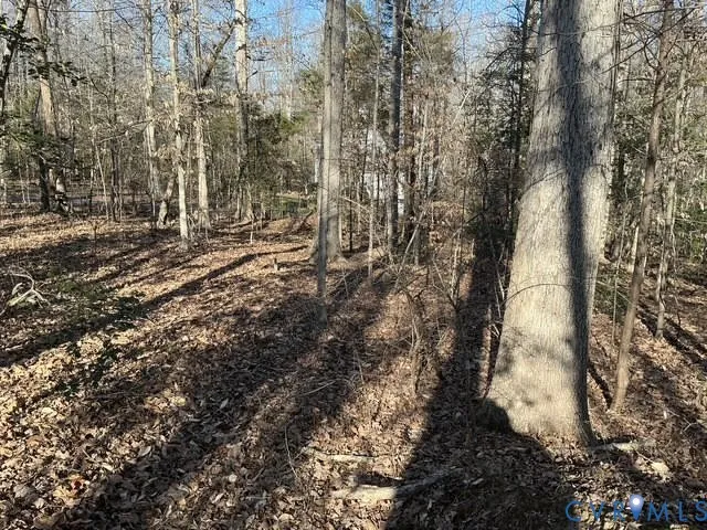 $99,999 | 12225 Tavern Hill Court, Chesterfield, VA 23832