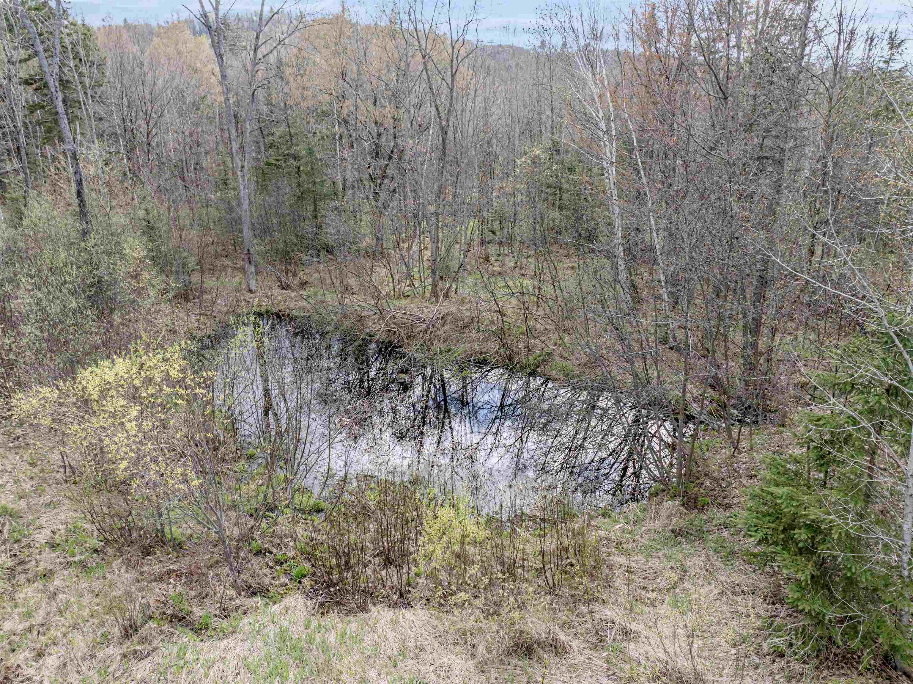 356 Simonds Road Dalton, NH 03598 - Photo 7 of 34