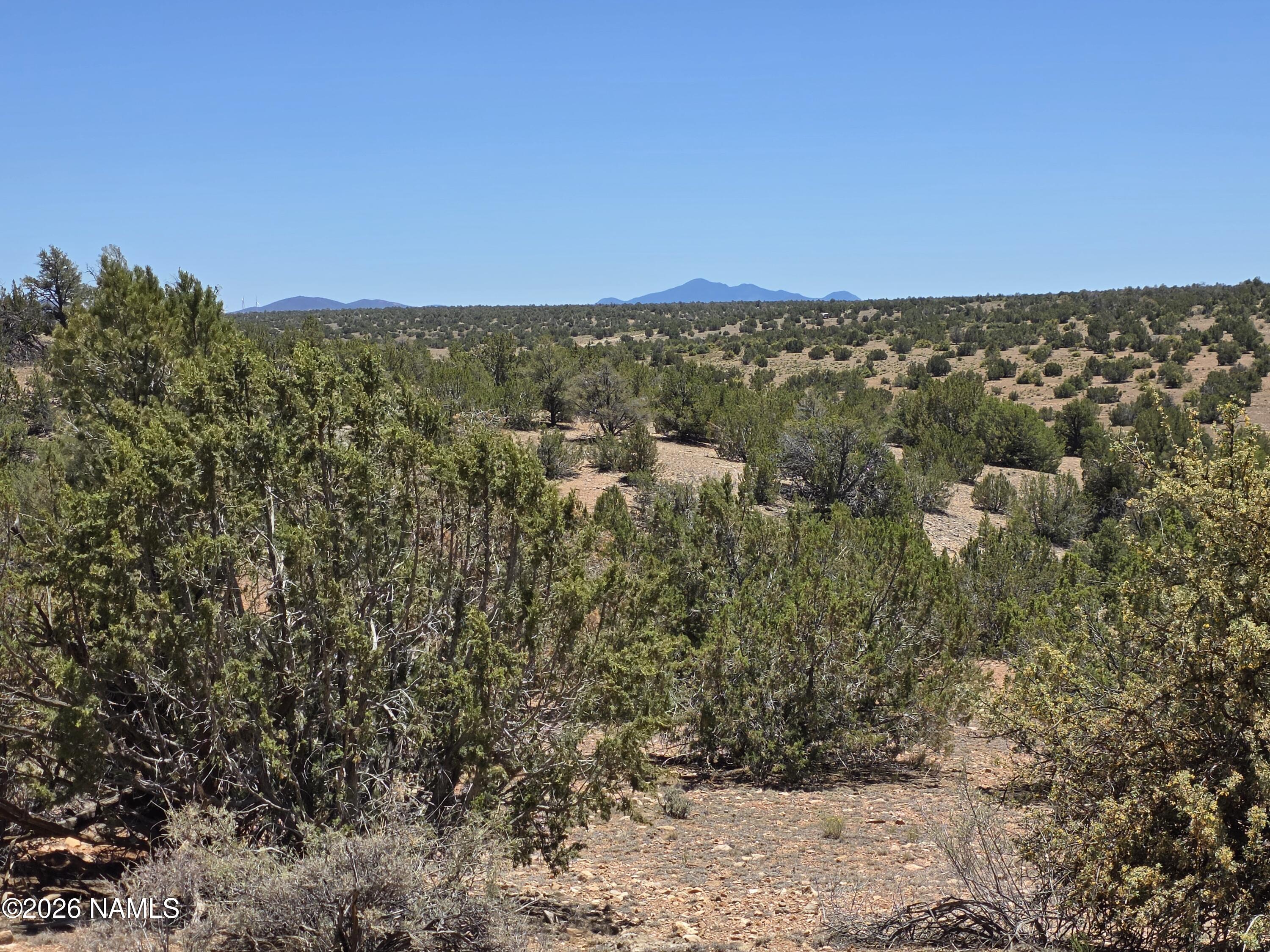 9966 Northstar Road Williams, AZ 86046 - Photo 15 of 37 1000065023