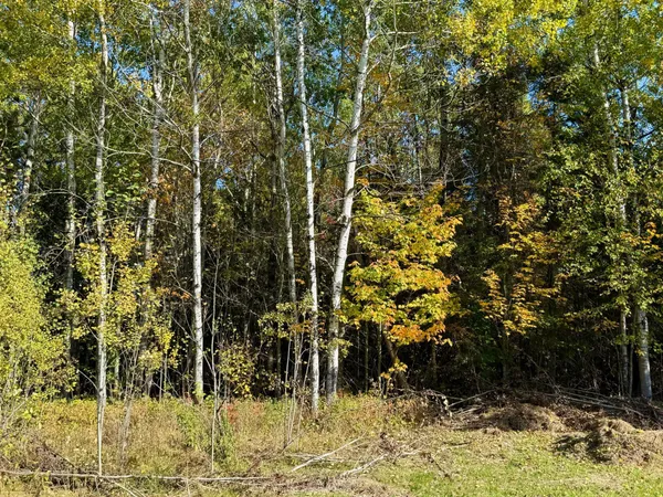 $69,000 | 36719 Highway 65, Nashwauk, MN 55769