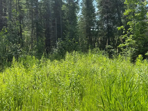 $69,000 | 36719 Highway 65, Nashwauk, MN 55769
