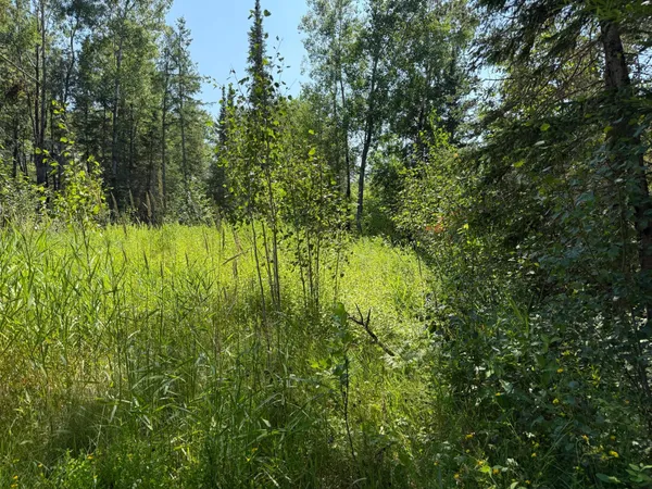 $69,000 | 36719 Highway 65, Nashwauk, MN 55769