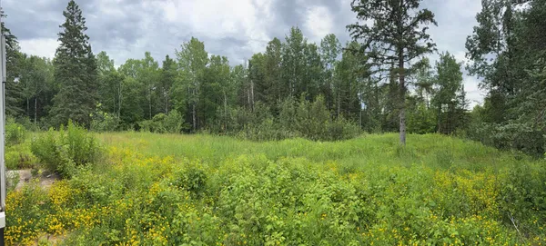$69,000 | 36719 Highway 65, Nashwauk, MN 55769