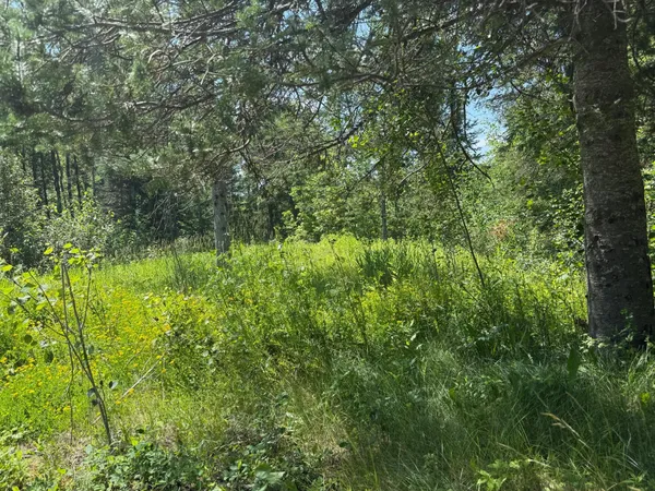 $69,000 | 36719 Highway 65, Nashwauk, MN 55769