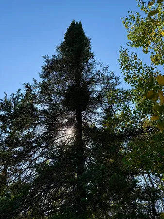 $69,000 | 36719 Highway 65, Nashwauk, MN 55769