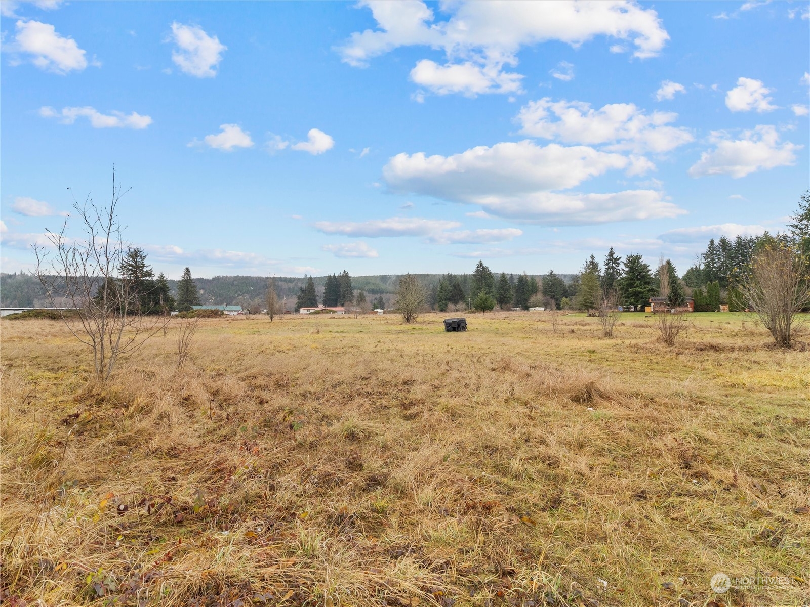 0 Satsop Riviera Loop, Unit 83 Elma, WA 98541 - Photo 11 of 11 Gallery Image 11